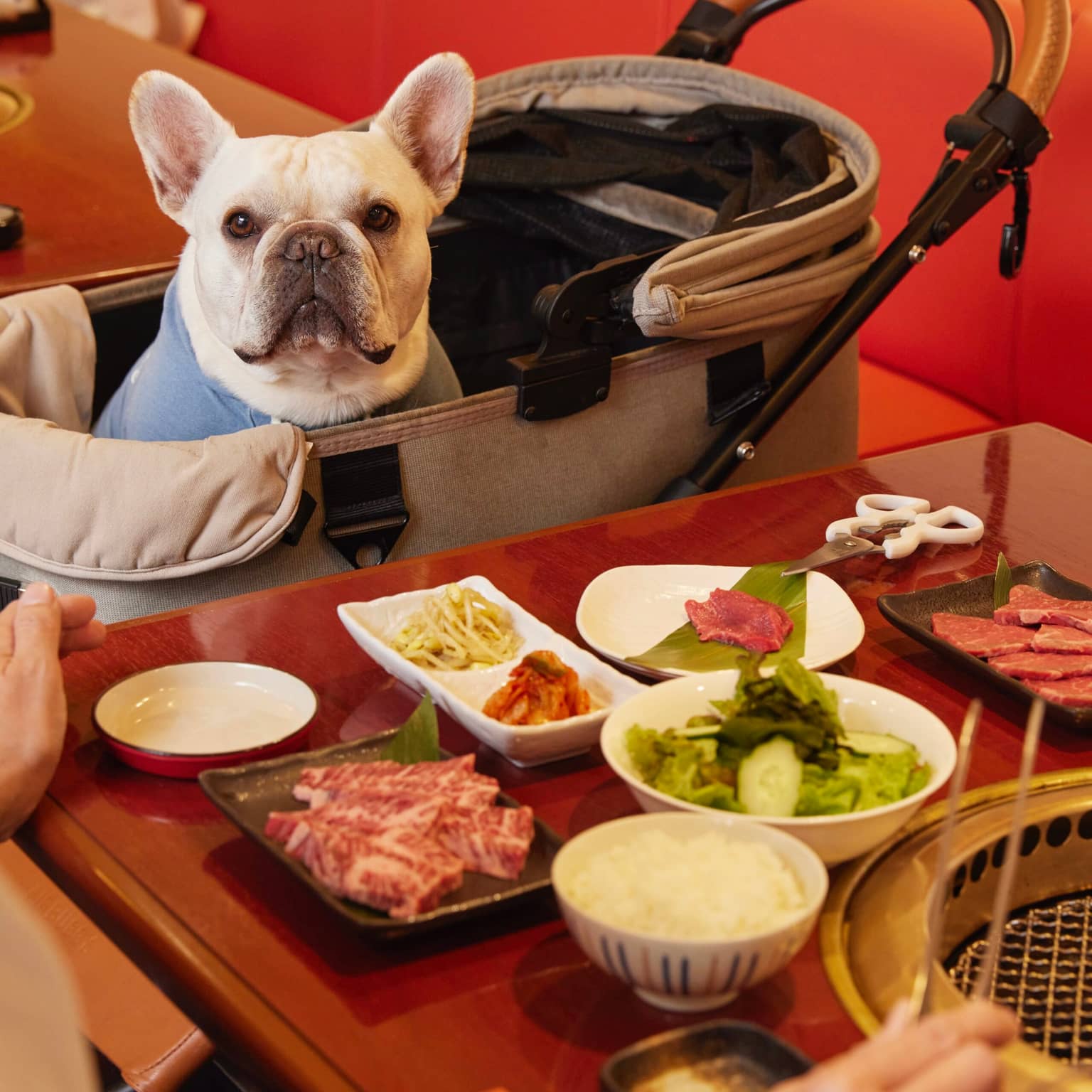 焼肉シンセン