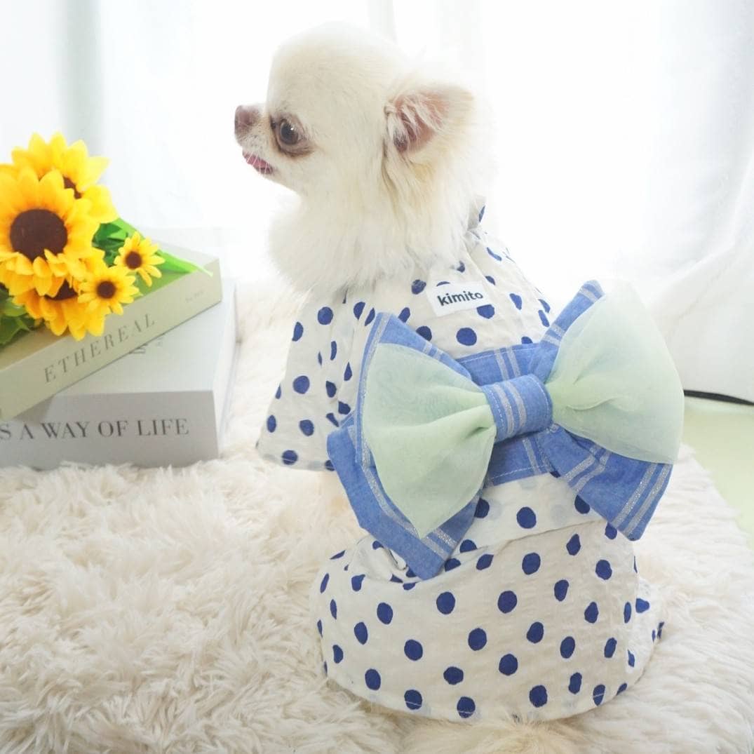 犬服キミト(kimito)