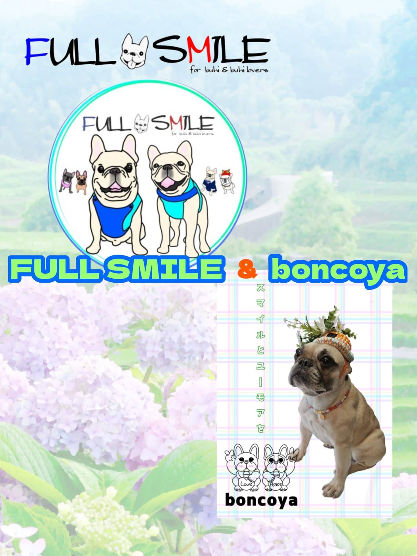 FULLSMILE boncoya