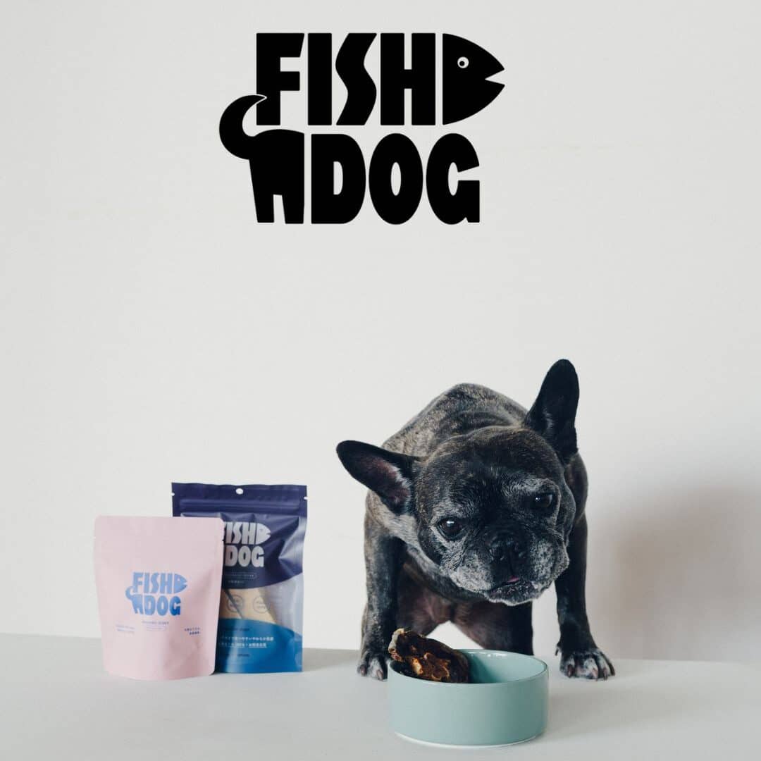 FISHDOG