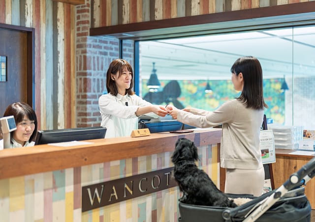 WANマネー イメージ