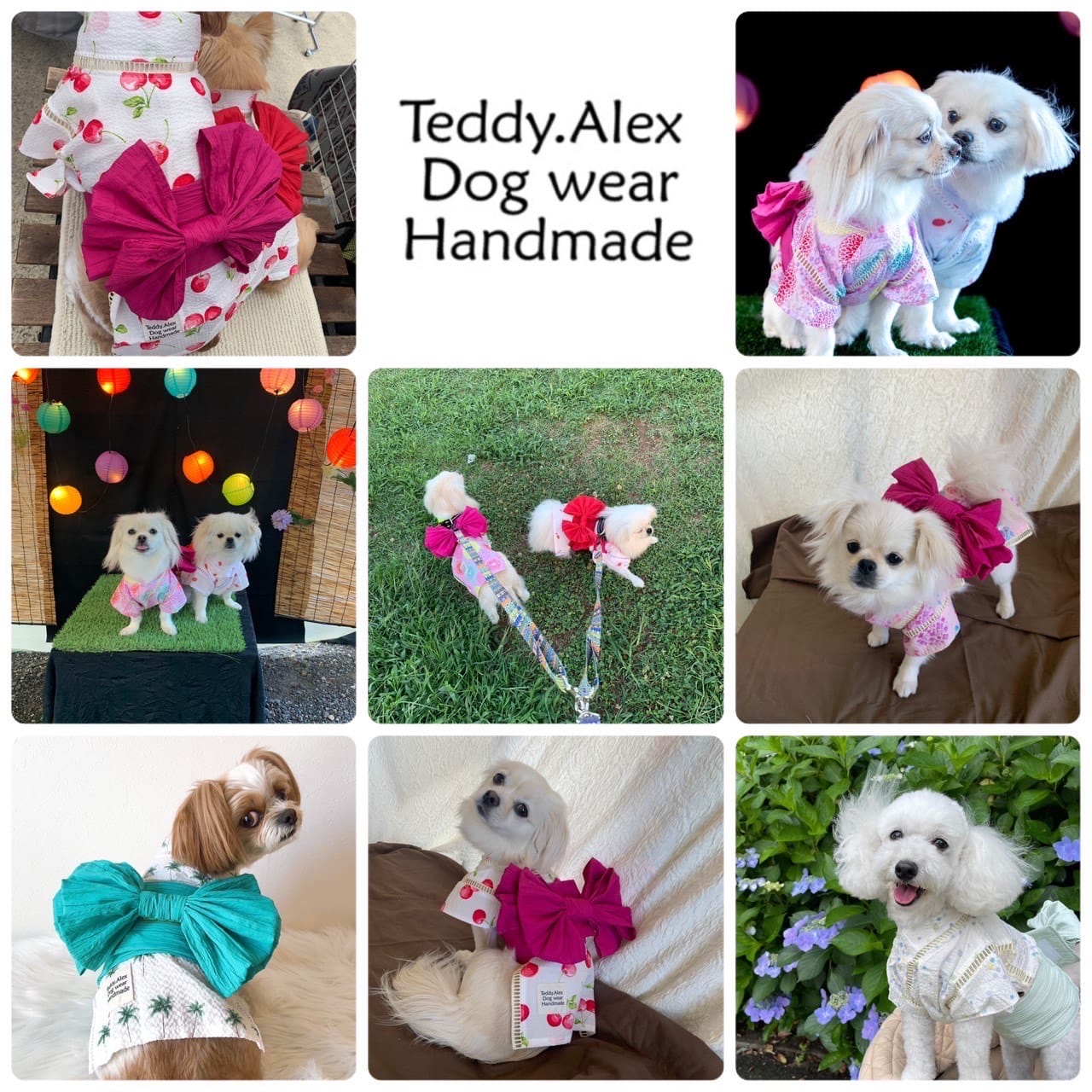 Teddy.Alex_Dog wear