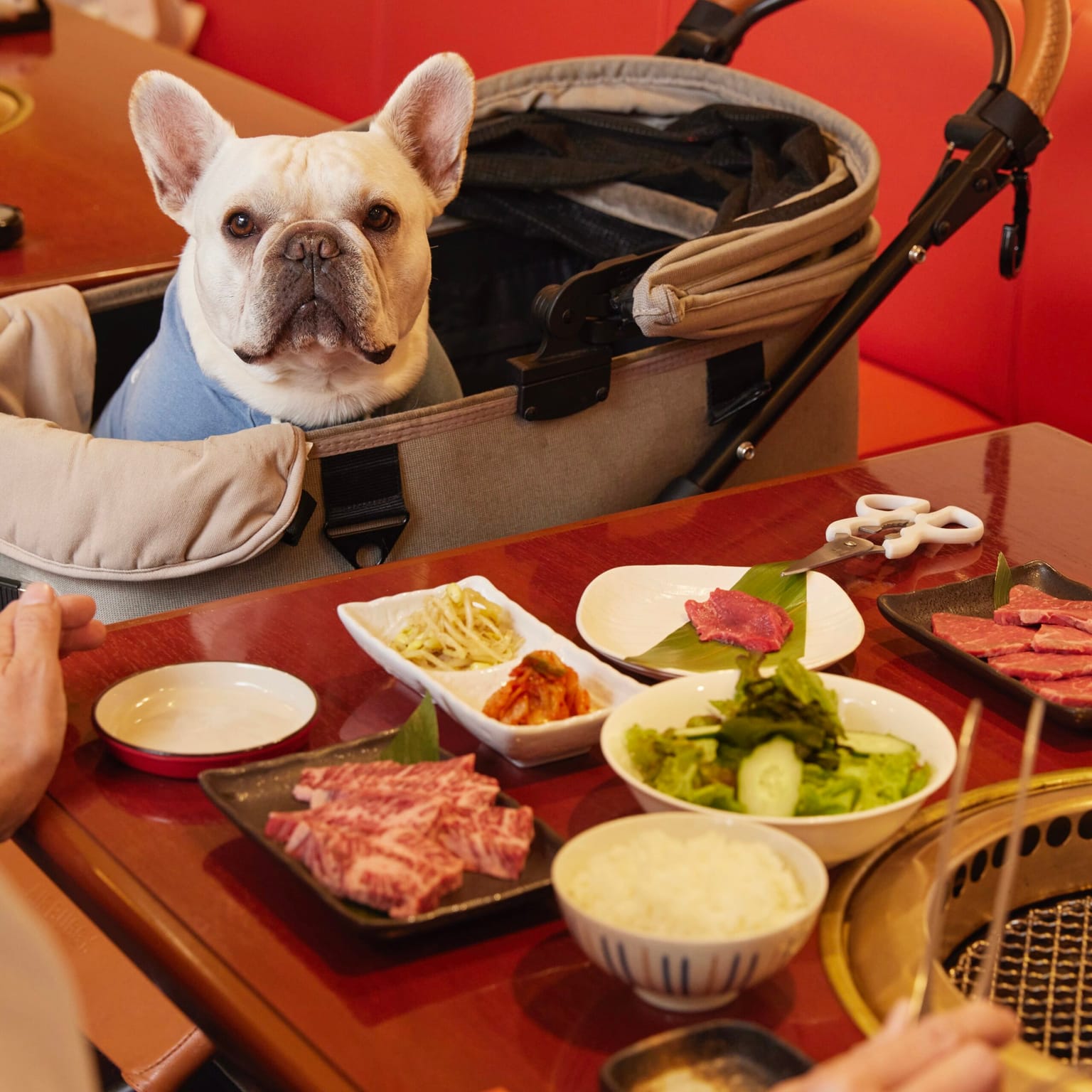 焼肉シンセン