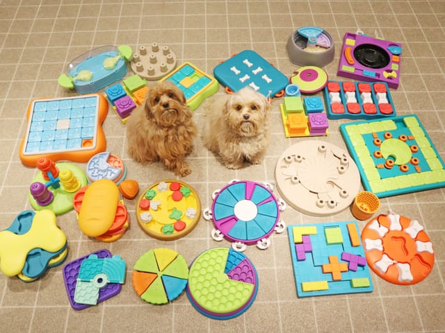 知育パズル体験会