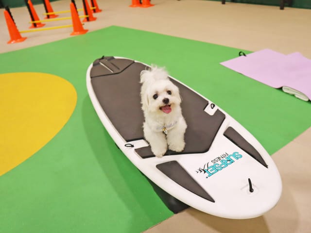 ミッション・ワンポッシブル