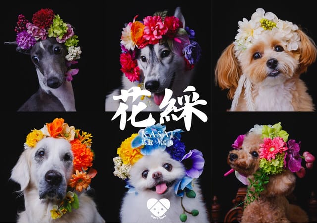 【事前予約枠あり】petomoni撮影会「花綵〜kasai〜」