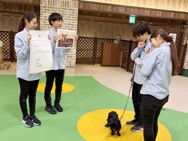 ワンちゃんの気持ちを学ぼう！