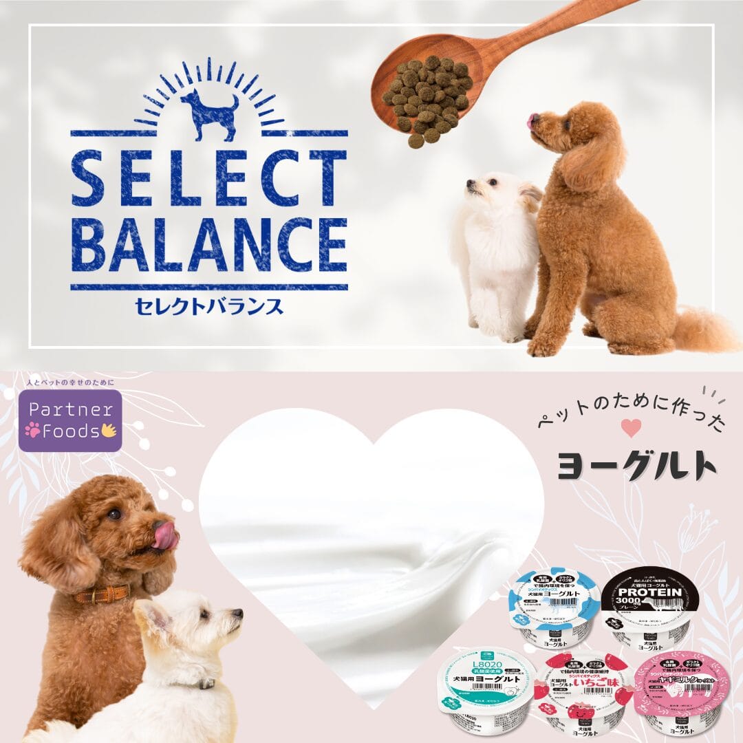 SELECT BALANCE