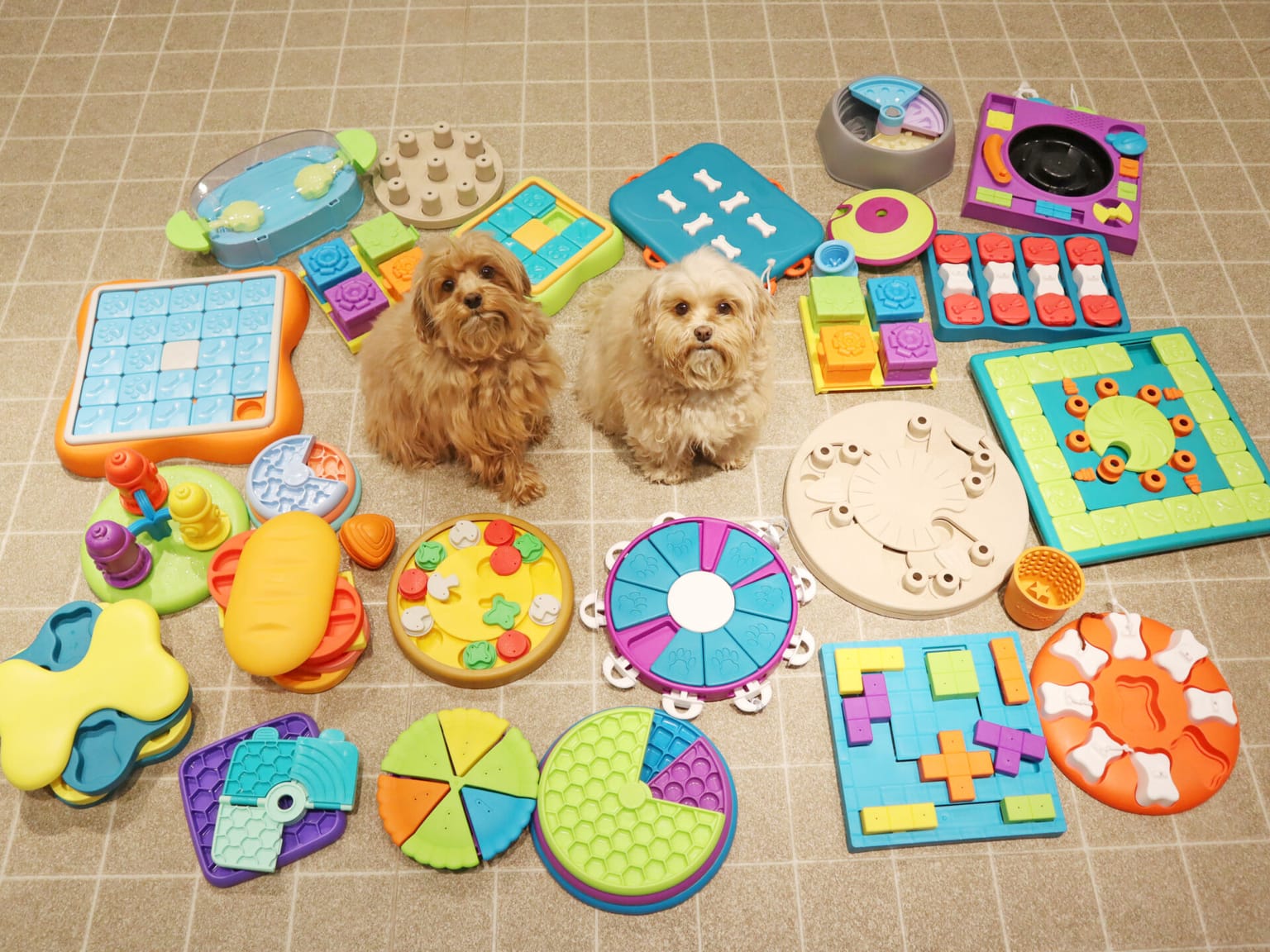 イベントアイキャッチ