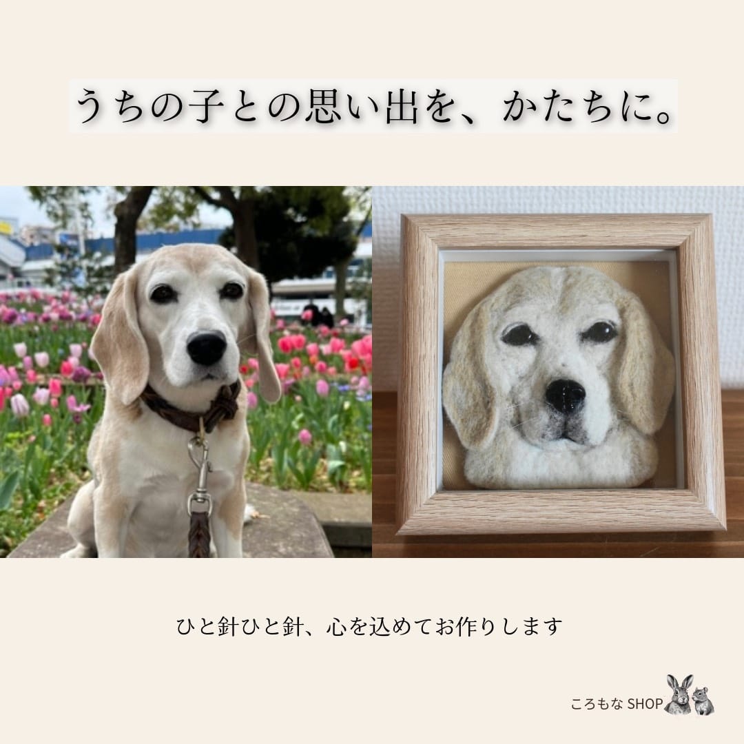 イベントアイキャッチ